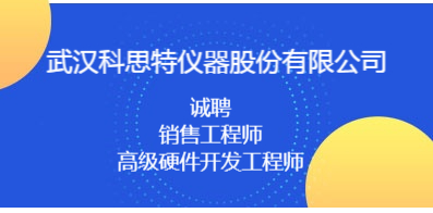 武汉人才网最新招聘信息网，职场风向标全景展示