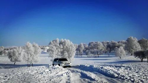 最新雪落，纯净与奇迹的交响