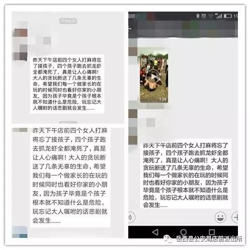 岳西最新消息全面解读与分析