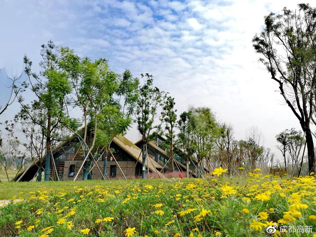 成都中和湿地生态建设蓬勃发展，最新消息一览