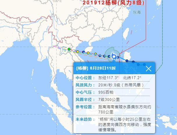 聚焦2019年台风动态，最新消息与路径分析