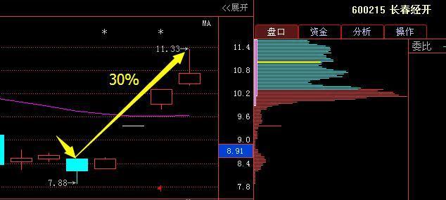 通威股份利好消息引领行业新篇章发展