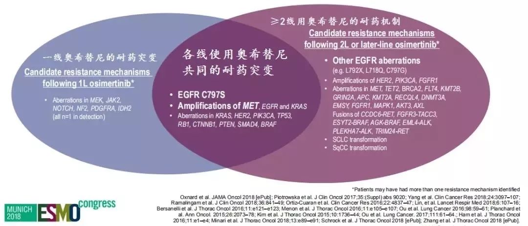 芬希体理财最新动态全面解析