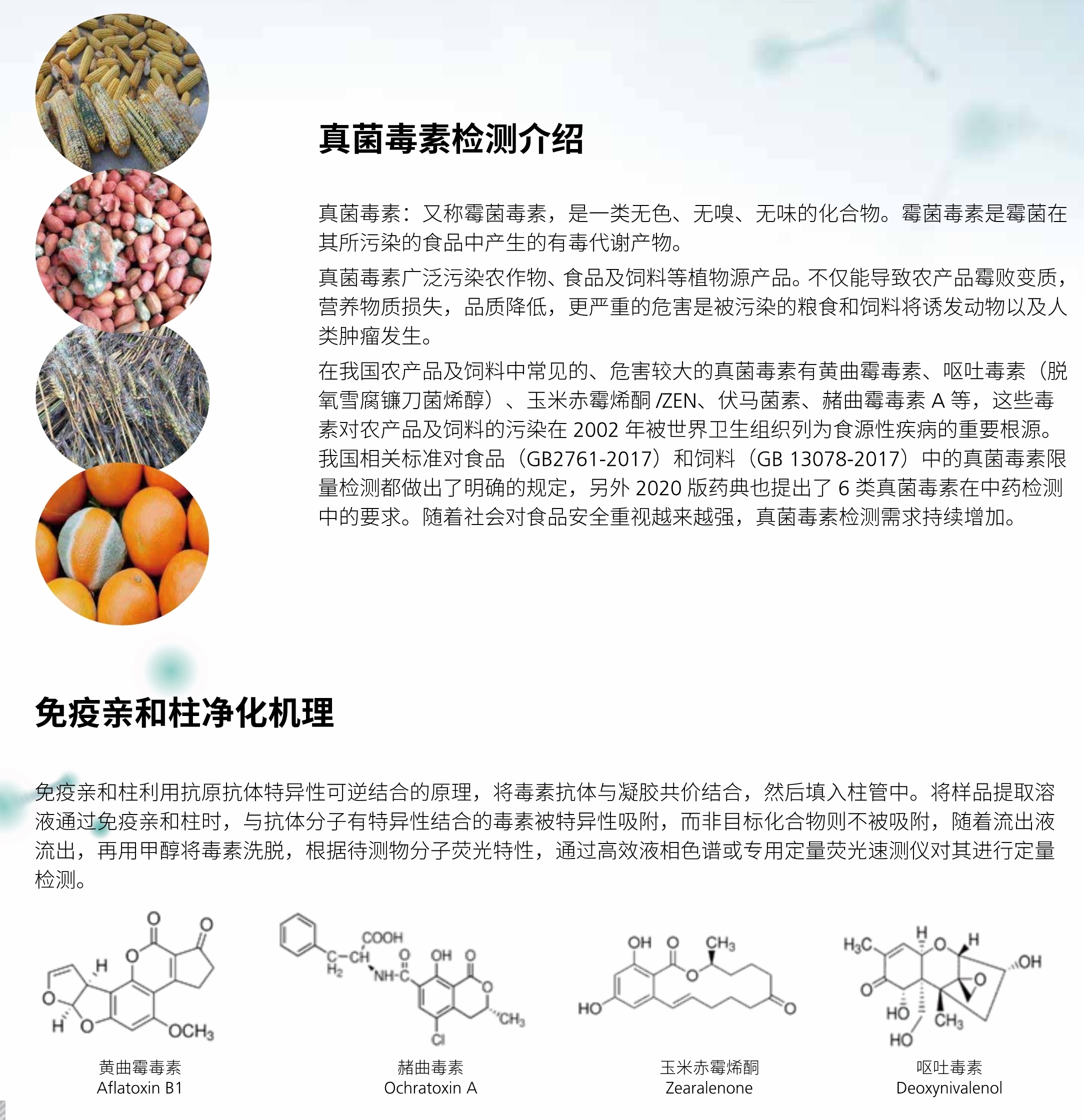 懂锝灬舍去丶