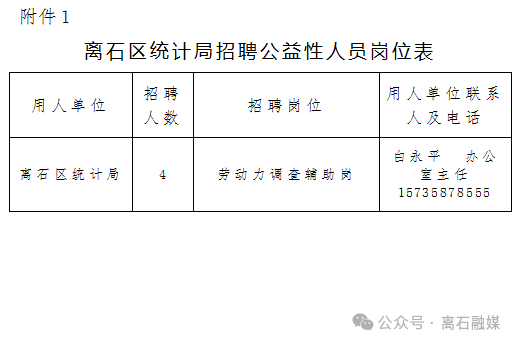 金家庄区统计局最新招聘信息与详情概览