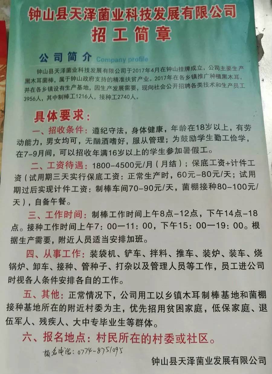 蒸嘎村最新招聘信息及其社会影响分析