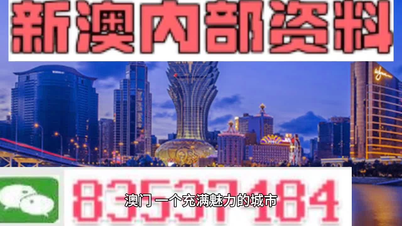 澳门小龙女免费资料,高效解答解释定义_标准版78.67