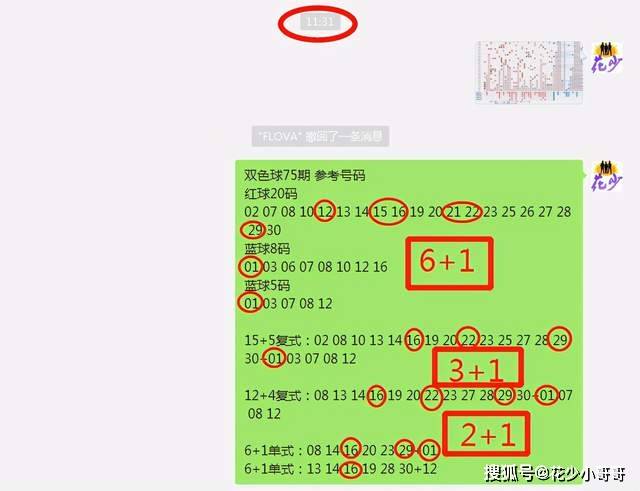 2024年12月17日 第18页