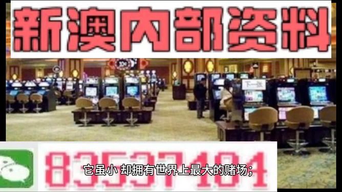 2024新澳精准资料免费提供,澳门内部,权威分析说明_7DM80.882