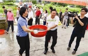 鱼关村委会最新动态报道