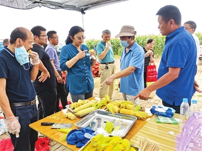 东湾村民委员会最新动态，推动社区发展，展现新风貌