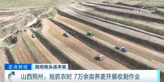 山西省朔州市平鲁区阻虎乡领导最新概况概览