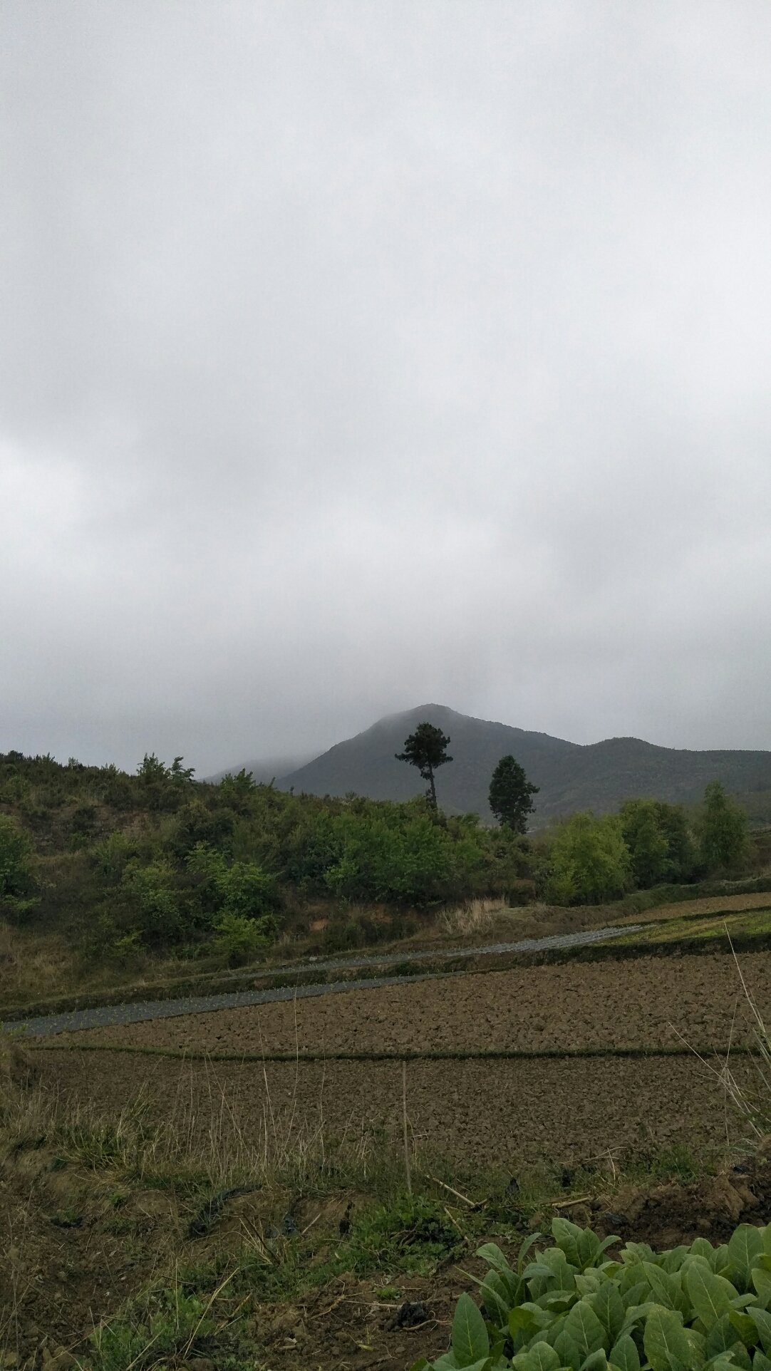 勤锋农场天气预报更新通知